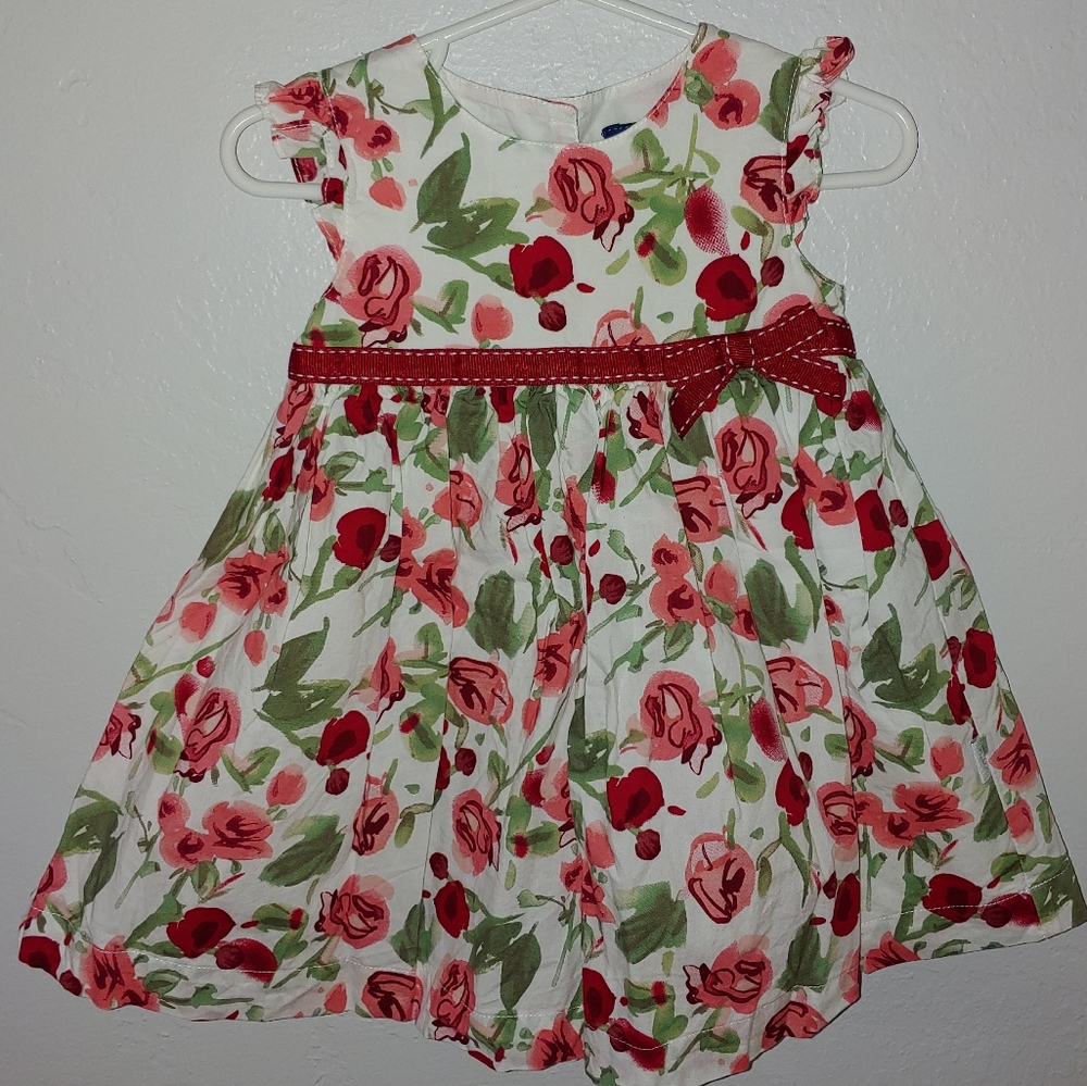 Pumpkin patch floral dress, 6-12 months